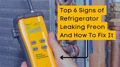 can freon leak from a refrigerator|How To Detect And Prevent Freon Leaks In Your Fridge: A。